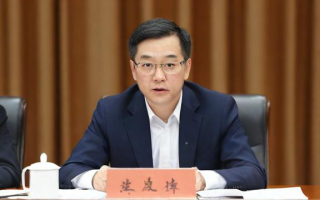 董事是什么意思？其职责和作用又是什么？