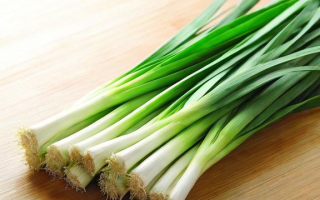 韭菜一词究竟有何含义？