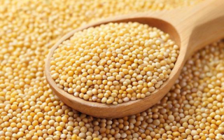 查豆粕行情，应该使用什么软件？