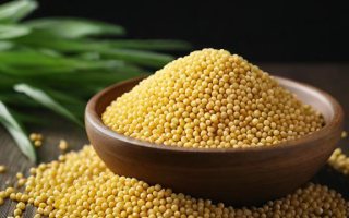 期货中的菜粕究竟是什么？