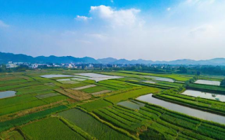 农垦局究竟是一个怎样的组织机构？