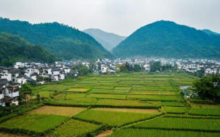 村部工作注意什么，村部工作应关注哪些关键点？
