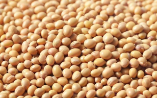 什么是大豆提油套利