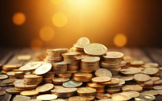 什么是结余资金
