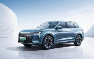 迈瑞是什么