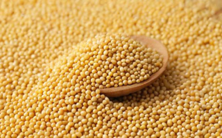 豆粕溢短装什么意思
