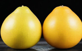 股市中的柚子究竟指的是什么？