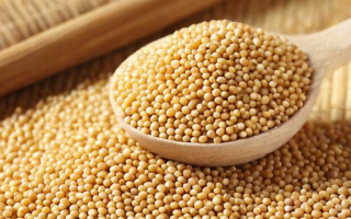 什么是豆粕？它有哪些用途和特性？