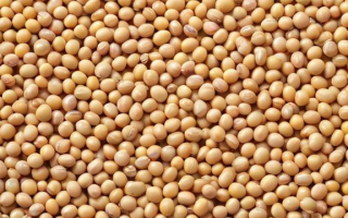 CBOT大豆期货究竟是什么？