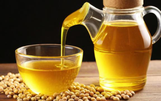 广东地区豆油现货的最新价格是多少？