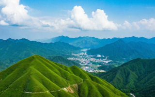 一什么青山，竟能如此引人入胜？