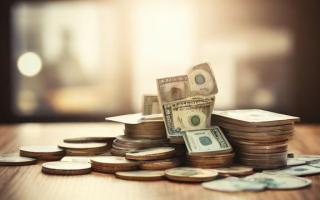 什么是自有资金？它的含义是什么？