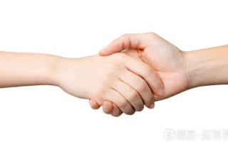 为什么手在人体功能和表达中扮演着如此重要的角色？