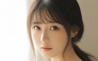 什么是理论？——探索理论的定义与内涵