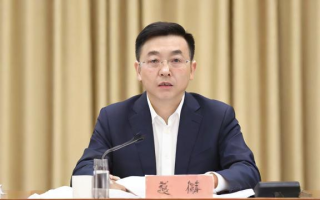 罗飞对什么