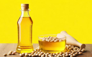 豆油指数上涨的原因是什么？