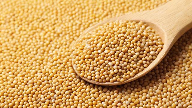 豆粕价格上涨的原因是什么？-第1张图片-ECN交易平台排行榜