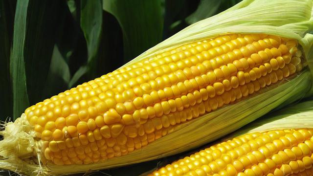 期货玉米价格波动与哪些因素紧密联动?-第1张图片-ECN交易平台排行榜 期货玉米价格波动与哪些因素紧密联动?-第1张图片-ECN交易平台排行榜