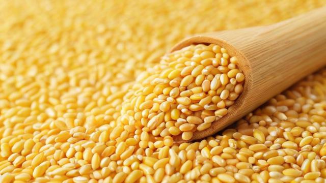 粮食期货是什么？详解其定义与运作机制-第1张图片-ECN交易平台排行榜