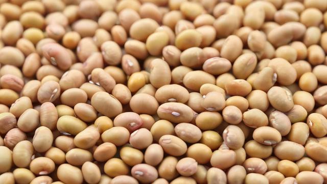 大豆期货的正式名称是什么？-第2张图片-ECN交易平台排行榜