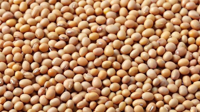 大豆期货的正式名称是什么？-第3张图片-ECN交易平台排行榜