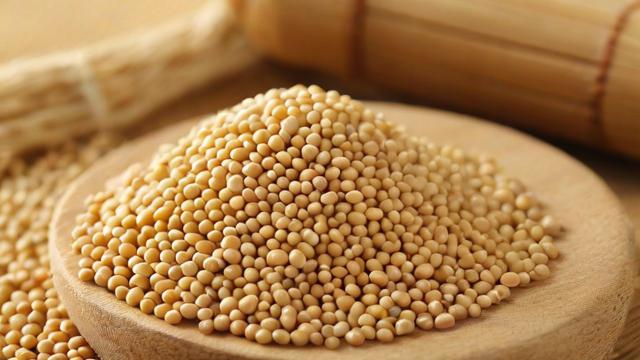 豆粕属于何种期货种类?-第1张图片-ECN交易平台排行榜 豆粕属于何种期货种类?-第1张图片-ECN交易平台排行榜