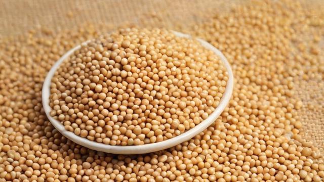 豆粕属于何种期货种类?-第2张图片-ECN交易平台排行榜 豆粕属于何种期货种类?-第2张图片-ECN交易平台排行榜