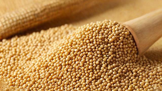 豆粕属于何种期货种类?-第3张图片-ECN交易平台排行榜 豆粕属于何种期货种类?-第3张图片-ECN交易平台排行榜