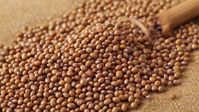 期货豆粕与哪些因素存在关联?-第1张图片-ECN交易平台排行榜 期货豆粕与哪些因素存在关联?-第1张图片-ECN交易平台排行榜