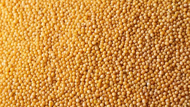 豆粕在营养成分上存在哪些不足?-第2张图片-ECN交易平台排行榜 豆粕在营养成分上存在哪些不足?-第2张图片-ECN交易平台排行榜