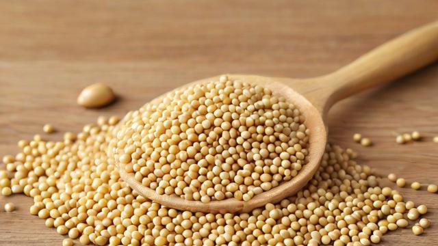 豆粕为什么这么贵,豆粕价格为何持续高涨?-第1张图片-ECN交易平台排行榜 豆粕为什么这么贵,豆粕价格为何持续高涨?-第1张图片-ECN交易平台排行榜