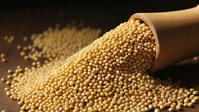 豆粕期权用什么软件看-第1张图片-ECN交易平台排行榜