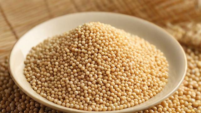豆粕连续是什么意思?-第2张图片-ECN交易平台排行榜 豆粕连续是什么意思?-第2张图片-ECN交易平台排行榜