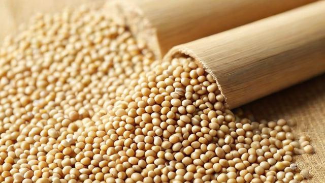 豆粕连续是什么意思?-第3张图片-ECN交易平台排行榜 豆粕连续是什么意思?-第3张图片-ECN交易平台排行榜
