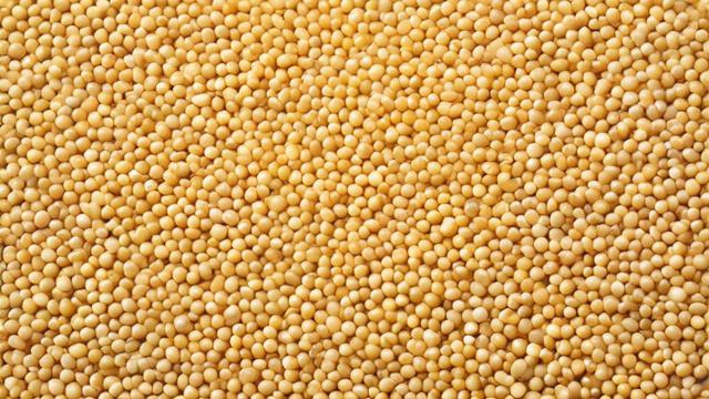 豆粕1708这一术语究竟意味着什么?-第1张图片-ECN交易平台排行榜 豆粕1708这一术语究竟意味着什么?-第1张图片-ECN交易平台排行榜