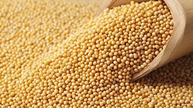 豆粕现货是什么?详解其定义与特点-第1张图片-ECN交易平台排行榜 豆粕现货是什么?详解其定义与特点-第1张图片-ECN交易平台排行榜