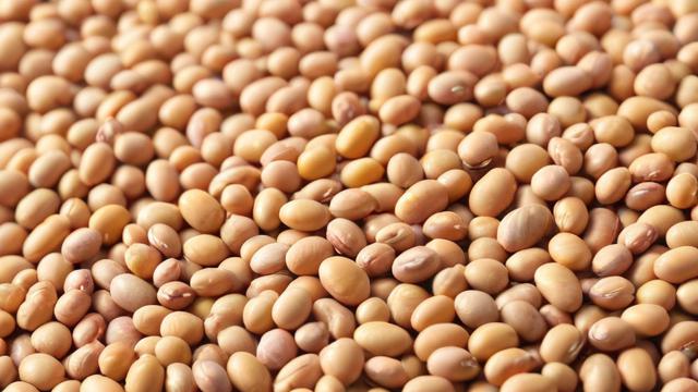 大豆买卖需要办理哪些手续？-第2张图片-ECN交易平台排行榜