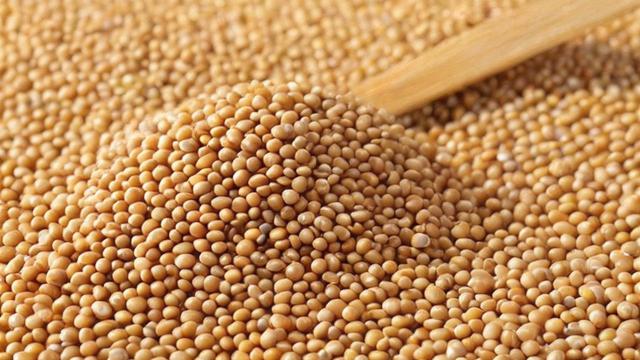 豆粕期权是什么?-第1张图片-ECN交易平台排行榜 豆粕期权是什么?-第1张图片-ECN交易平台排行榜