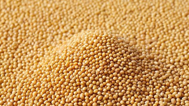 豆粕期权是什么?-第3张图片-ECN交易平台排行榜 豆粕期权是什么?-第3张图片-ECN交易平台排行榜