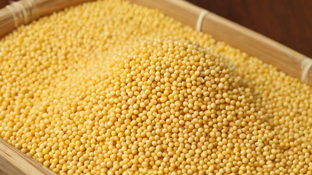 重庆豆粕品质如何?哪种豆粕更受青睐?-第1张图片-ECN交易平台排行榜 重庆豆粕品质如何?哪种豆粕更受青睐?-第1张图片-ECN交易平台排行榜