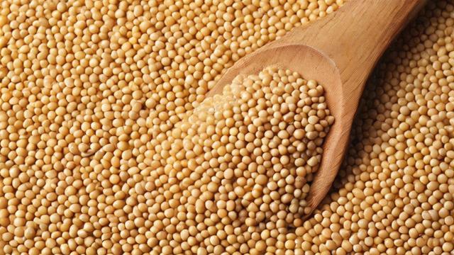 豆粕属于什么板块(豆粕属于什么板块类型)-第2张图片-ECN交易平台排行榜 豆粕属于什么板块(豆粕属于什么板块类型)-第2张图片-ECN交易平台排行榜