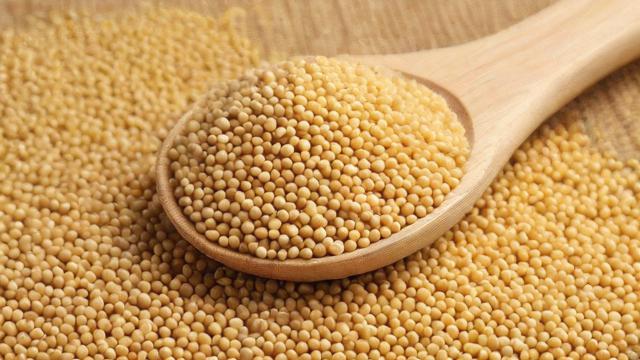 豆粕属于什么板块(豆粕属于什么板块类型)-第3张图片-ECN交易平台排行榜 豆粕属于什么板块(豆粕属于什么板块类型)-第3张图片-ECN交易平台排行榜