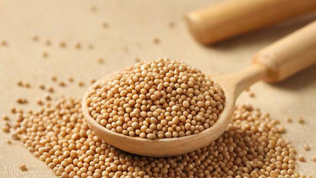 豆粕主要用途是什么?-第1张图片-ECN交易平台排行榜 豆粕主要用途是什么?-第1张图片-ECN交易平台排行榜