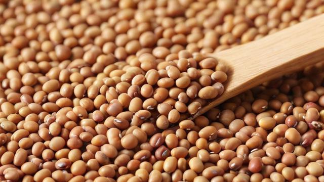 期货豆念什么?探究期货交易中的‘豆’字含义-第1张图片-ECN交易平台排行榜 期货豆念什么?探究期货交易中的‘豆’字含义-第1张图片-ECN交易平台排行榜