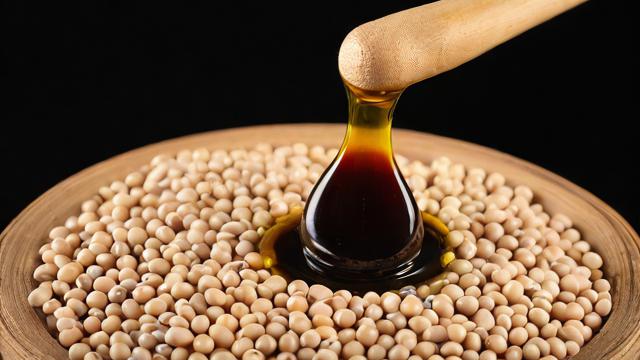 期货豆油究竟指的是哪种豆?-第2张图片-ECN交易平台排行榜 期货豆油究竟指的是哪种豆?-第2张图片-ECN交易平台排行榜