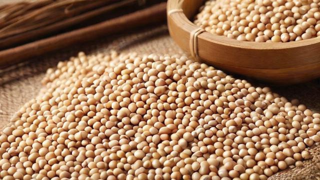 河南大豆最晚什么时候-第1张图片-ECN交易平台排行榜