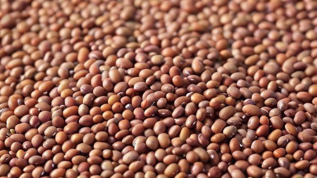 期货豆二什么意思-第1张图片-ECN交易平台排行榜