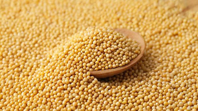 豆粕溢短装什么意思-第1张图片-ECN交易平台排行榜 豆粕溢短装什么意思-第1张图片-ECN交易平台排行榜