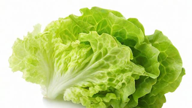 生菜的计量单位是什么?-第1张图片-ECN交易平台排行榜 生菜的计量单位是什么?-第1张图片-ECN交易平台排行榜