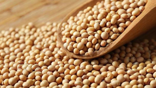 为什么黄豆比豆粕贵-第1张图片-ECN交易平台排行榜 为什么黄豆比豆粕贵-第1张图片-ECN交易平台排行榜
